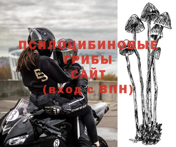 mix Абинск