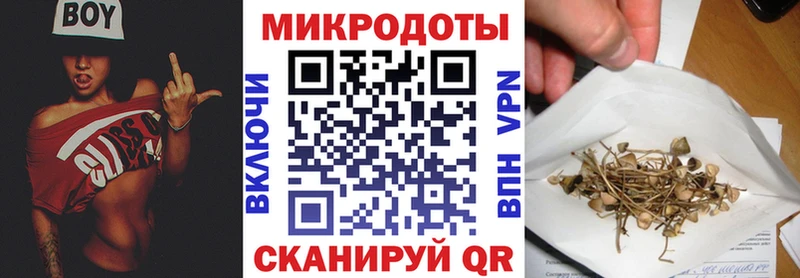 купить  сайты  Кочубеевское  Псилоцибиновые грибы мухоморы 